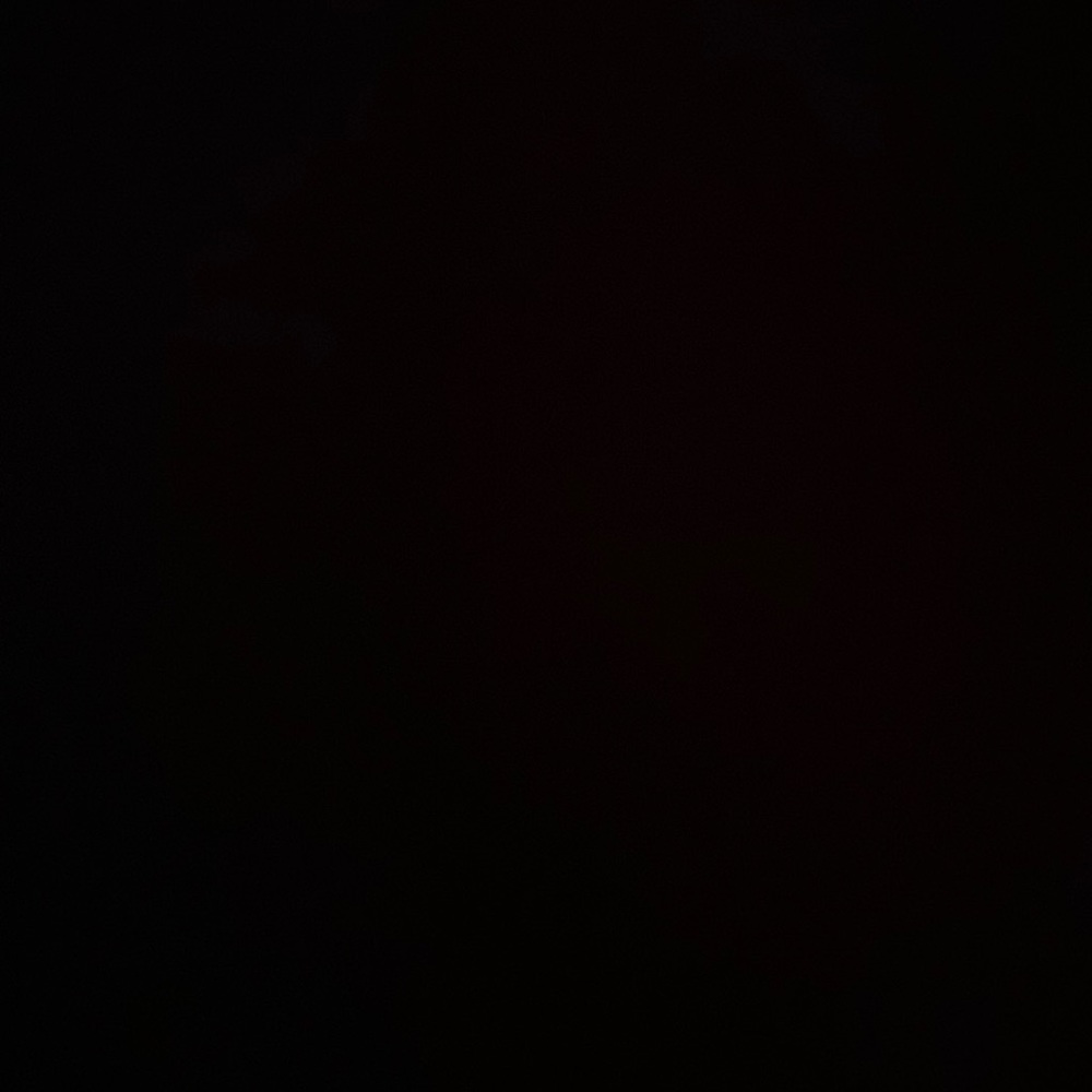 Meet your Posher,Jade